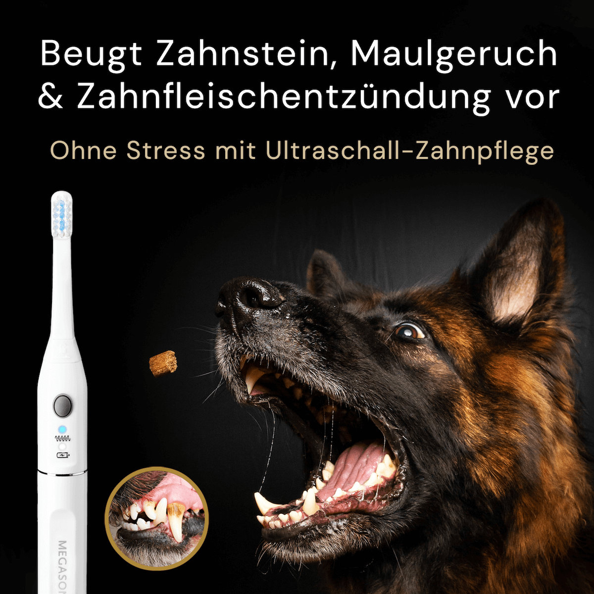 Megasonex M8 Ultraschallzahnbürste auch für den Hund