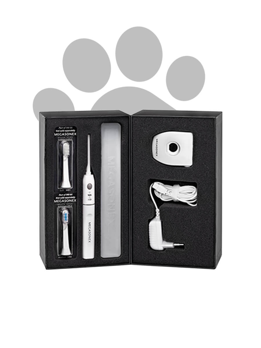 Megasonex M8 Ultraschallzahnbürste auch für den Hund