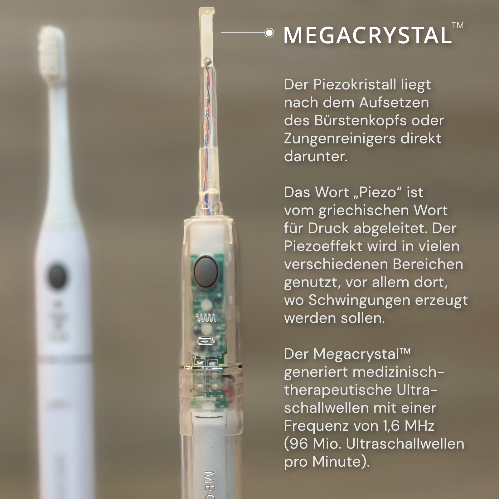 MEGASONEX M8 S Ultraschall-Zahnbürste + 2 Paar Bürstenköpfe