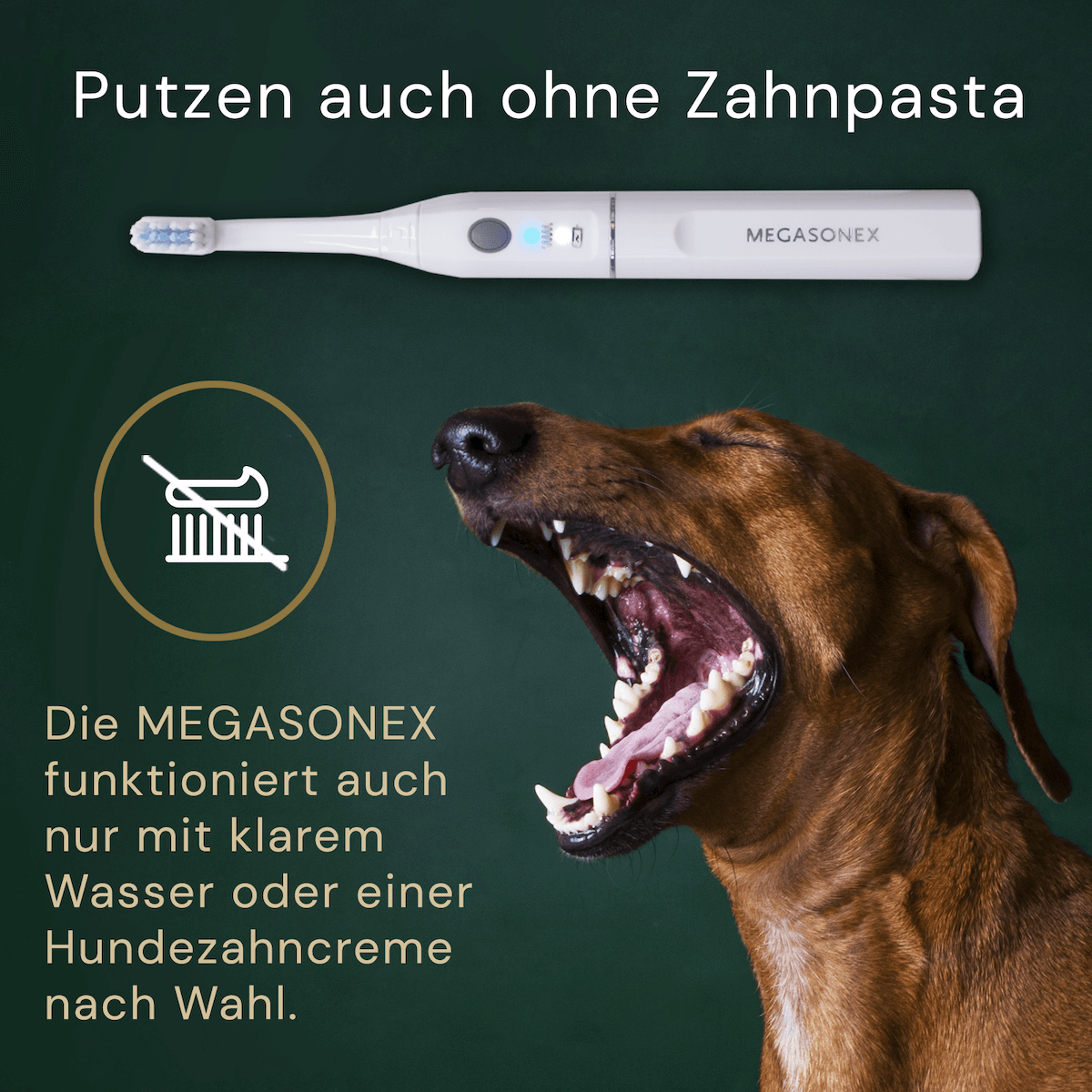 Megasonex M8 Ultraschallzahnbürste auch für den Hund
