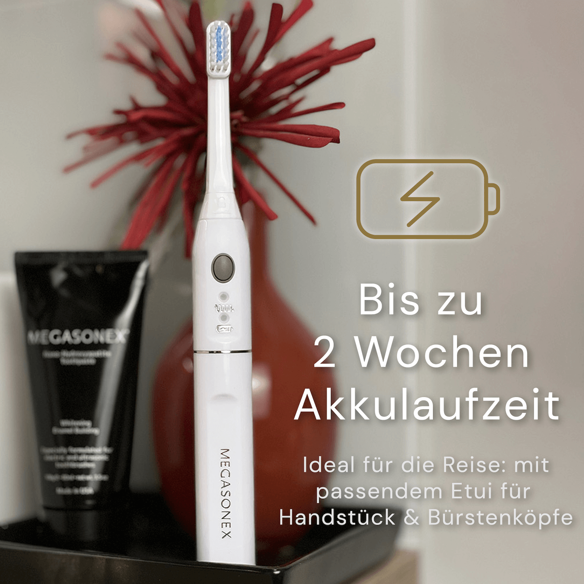 Megasonex M8 Ultraschallzahnbürste & Ersatzbürstenkopf